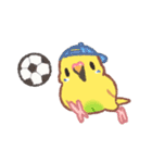 おぴちちゅんねるの小鳥スタンプ（個別スタンプ：37）