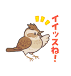 おぴちちゅんねるの小鳥スタンプ（個別スタンプ：39）