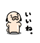 パグの丞がとおる！！（個別スタンプ：2）
