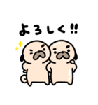 パグの丞がとおる！！（個別スタンプ：5）