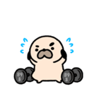 パグの丞がとおる！！（個別スタンプ：25）