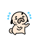 パグの丞がとおる！！（個別スタンプ：31）