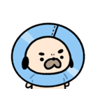 パグの丞がとおる！！（個別スタンプ：34）