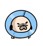 パグの丞がとおる！！（個別スタンプ：35）