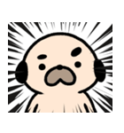 パグの丞がとおる！！（個別スタンプ：36）