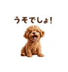 トイプードルの動くリアクション・スタンプ（個別スタンプ：3）