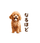 トイプードルの動くリアクション・スタンプ（個別スタンプ：6）