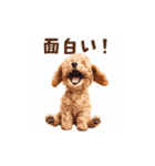 トイプードルの動くリアクション・スタンプ（個別スタンプ：15）