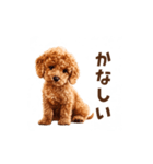 トイプードルの動くリアクション・スタンプ（個別スタンプ：24）