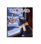 飛び出す♡ねこねこ日記-ハチワレ年末年始-（個別スタンプ：13）