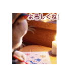 飛び出す♡ねこねこ日記-ハチワレ年末年始-（個別スタンプ：18）