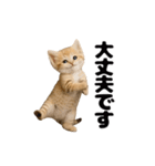 動く！スナネコ（個別スタンプ：5）