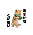 動く！スナネコ（個別スタンプ：9）