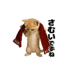 動く！スナネコ（個別スタンプ：10）