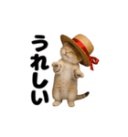 動く！スナネコ（個別スタンプ：11）