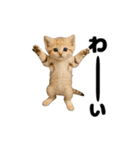 動く！スナネコ（個別スタンプ：19）