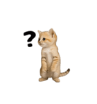 動く！スナネコ（個別スタンプ：22）