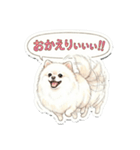 ほぼ大福な毛玉ポメ【家族/彼氏/先輩】（個別スタンプ：7）