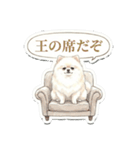 ほぼ大福な毛玉ポメ【家族/彼氏/先輩】（個別スタンプ：14）