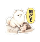 ほぼ大福な毛玉ポメ【家族/彼氏/先輩】（個別スタンプ：17）