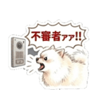 ほぼ大福な毛玉ポメ【家族/彼氏/先輩】（個別スタンプ：20）