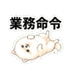 ほぼ大福な毛玉ポメ【家族/彼氏/先輩】（個別スタンプ：22）