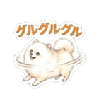 ほぼ大福な毛玉ポメ【家族/彼氏/先輩】（個別スタンプ：27）