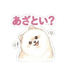 ほぼ大福な毛玉ポメ【家族/彼氏/先輩】（個別スタンプ：28）