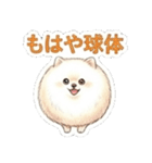 ほぼ大福な毛玉ポメ【家族/彼氏/先輩】（個別スタンプ：31）