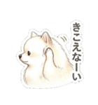 ほぼ大福な毛玉ポメ【家族/彼氏/先輩】（個別スタンプ：33）