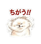 ほぼ大福な毛玉ポメ【家族/彼氏/先輩】（個別スタンプ：35）