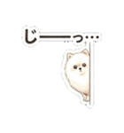 ほぼ大福な毛玉ポメ【家族/彼氏/先輩】（個別スタンプ：37）