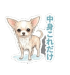 ほぼ大福な毛玉ポメ【家族/彼氏/先輩】（個別スタンプ：39）