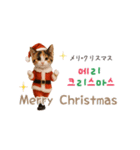 踊るサンタこねこの韓国語♡（個別スタンプ：1）