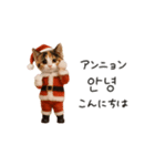 踊るサンタこねこの韓国語♡（個別スタンプ：6）