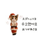踊るサンタこねこの韓国語♡（個別スタンプ：7）
