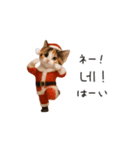 踊るサンタこねこの韓国語♡（個別スタンプ：8）