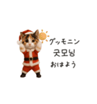 踊るサンタこねこの韓国語♡（個別スタンプ：9）