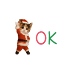 踊るサンタこねこの韓国語♡（個別スタンプ：13）