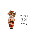 踊るサンタこねこの韓国語♡（個別スタンプ：14）