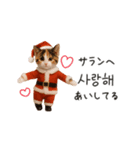 踊るサンタこねこの韓国語♡（個別スタンプ：15）