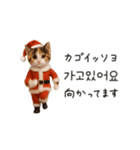 踊るサンタこねこの韓国語♡（個別スタンプ：17）