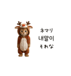 踊るサンタこねこの韓国語♡（個別スタンプ：19）