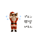 踊るサンタこねこの韓国語♡（個別スタンプ：20）