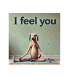 脱力系ヨガ犬（個別スタンプ：1）