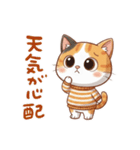 三毛猫の冬②（個別スタンプ：31）