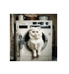 白猫の新日常2（個別スタンプ：6）