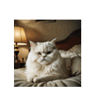 白猫の新日常2（個別スタンプ：12）
