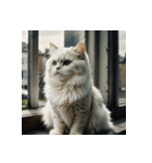 白猫の新日常2（個別スタンプ：13）