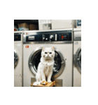 白猫の新日常2（個別スタンプ：14）